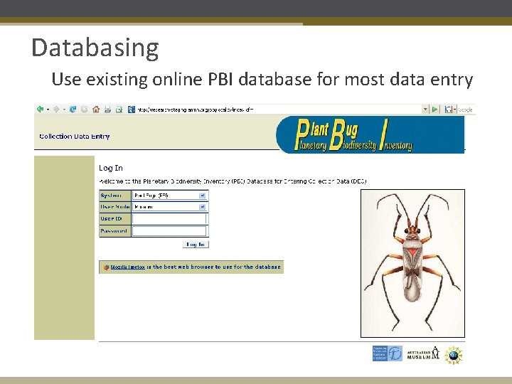 Databasing Use existing online PBI database for most data entry 