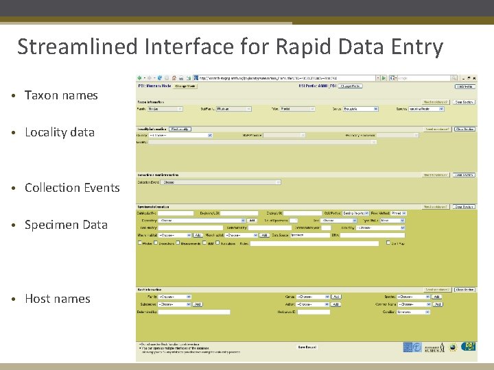 Streamlined Interface for Rapid Data Entry • Taxon names • Locality data • Collection
