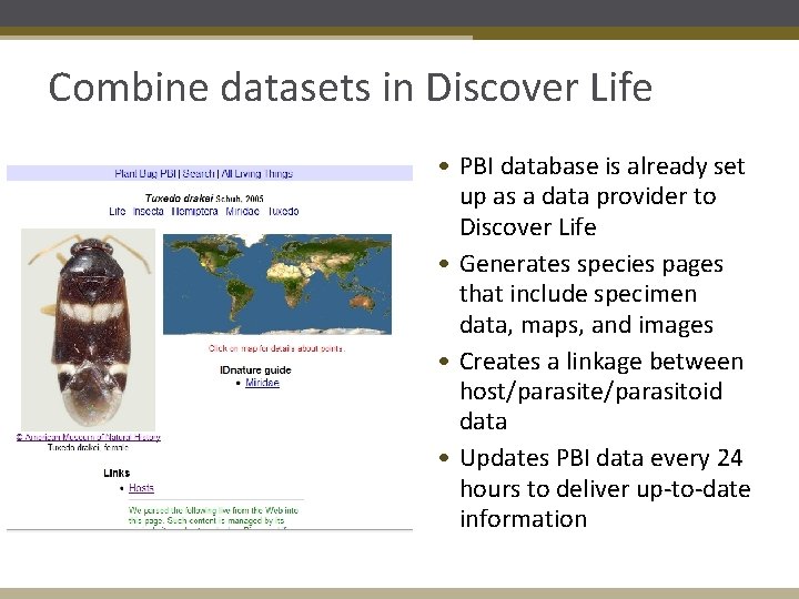 Combine datasets in Discover Life • PBI database is already set up as a