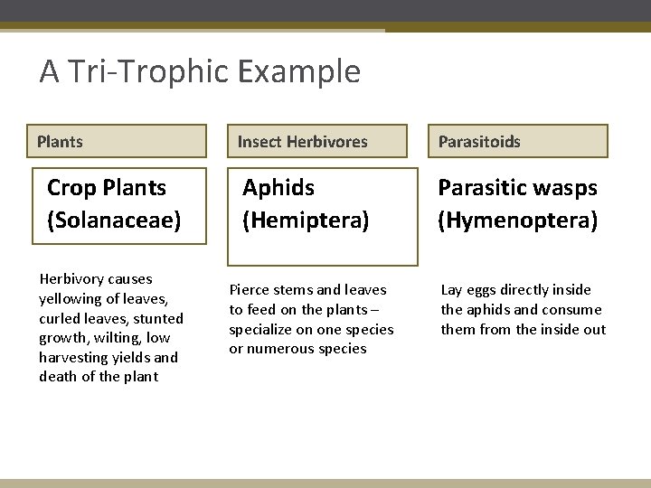 A Tri-Trophic Example Plants Crop Plants (Solanaceae) Herbivory causes yellowing of leaves, curled leaves,