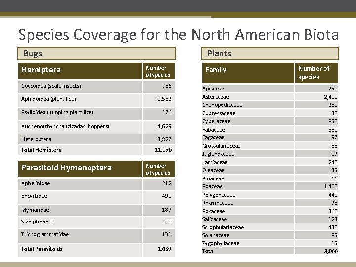 Species Coverage for the North American Biota Bugs Hemiptera Coccoidea (scale insects) Aphidoidea (plant