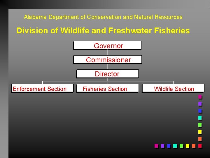 Alabama Department of Conservation and Natural Resources Division of Wildlife and Freshwater Fisheries Governor