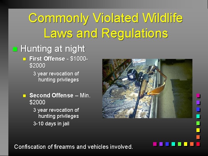 Commonly Violated Wildlife Laws and Regulations n Hunting at night n First Offense -