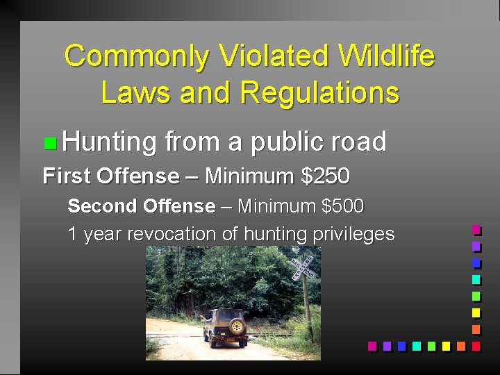 Commonly Violated Wildlife Laws and Regulations n Hunting from a public road First Offense