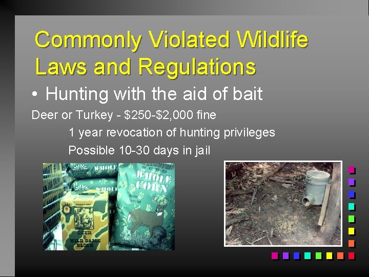 Commonly Violated Wildlife Laws and Regulations • Hunting with the aid of bait Deer