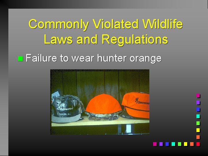 Commonly Violated Wildlife Laws and Regulations n Failure to wear hunter orange 