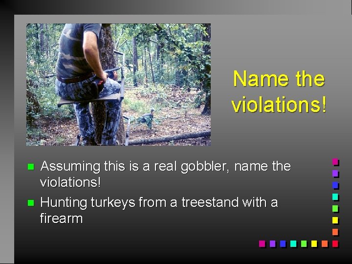 Name the violations! n n Assuming this is a real gobbler, name the violations!