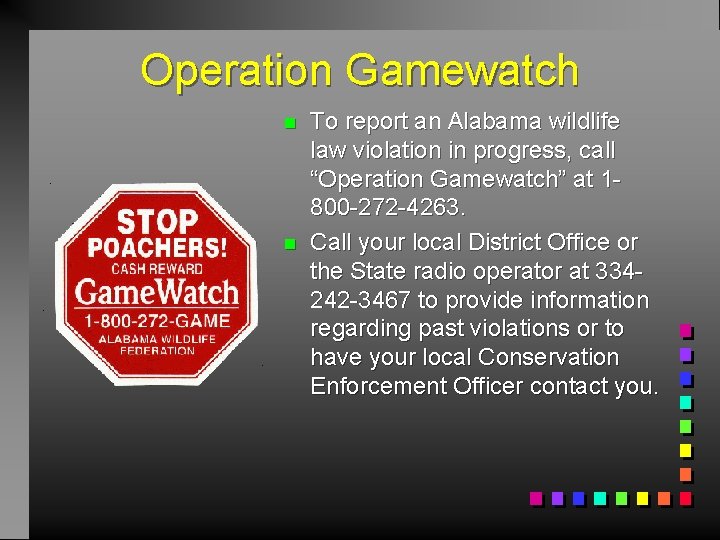 Operation Gamewatch n n To report an Alabama wildlife law violation in progress, call