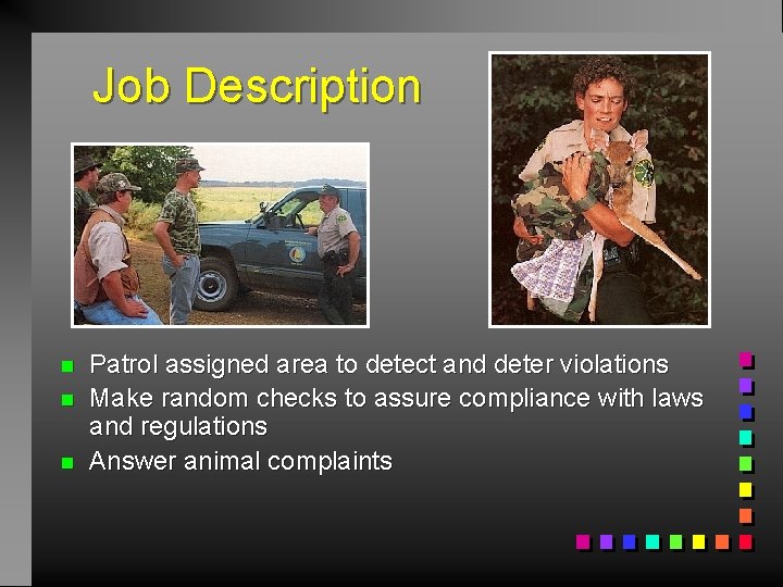 Job Description n Patrol assigned area to detect and deter violations Make random checks