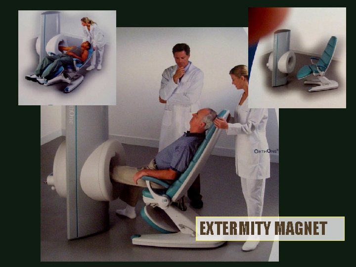 EXTERMITY MAGNET 