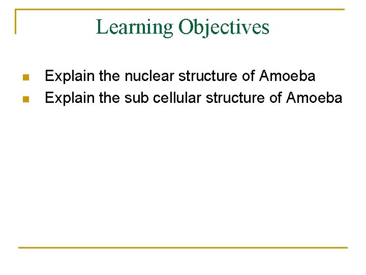 Learning Objectives n n Explain the nuclear structure of Amoeba Explain the sub cellular