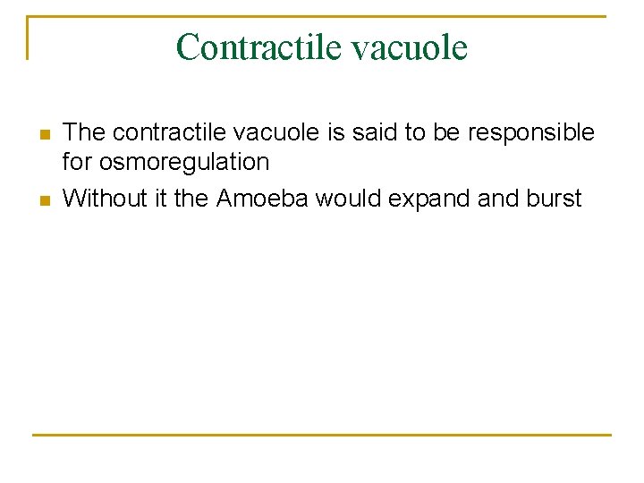 Contractile vacuole n n The contractile vacuole is said to be responsible for osmoregulation