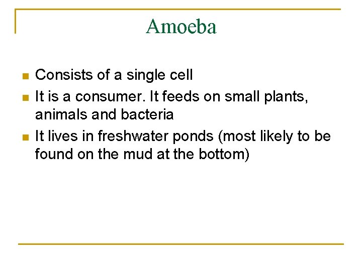 Amoeba n n n Consists of a single cell It is a consumer. It