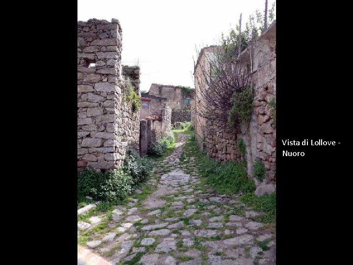 Vista di Lollove Nuoro 