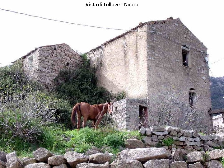 Vista di Lollove - Nuoro 