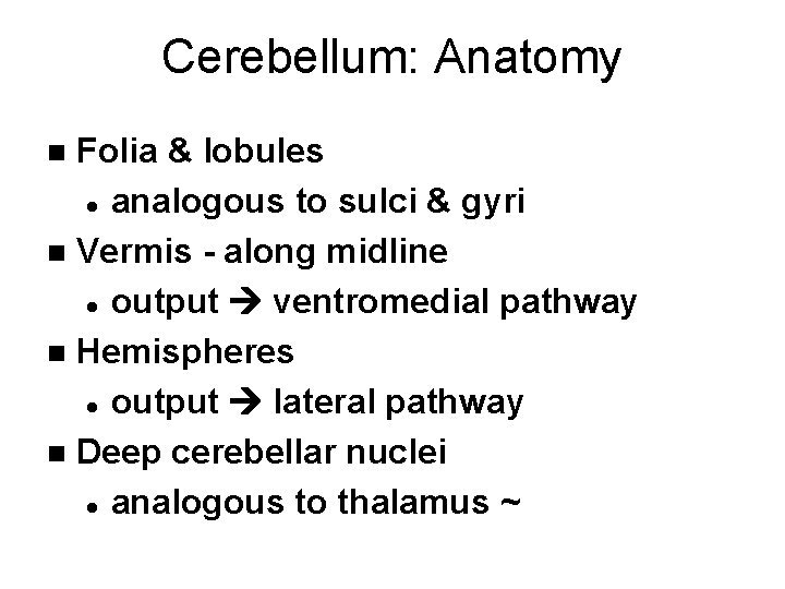 Cerebellum: Anatomy Folia & lobules l analogous to sulci & gyri n Vermis -