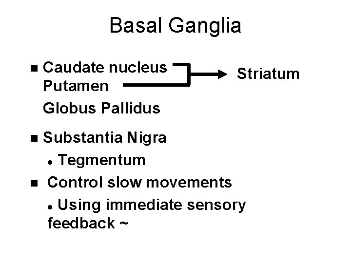 Basal Ganglia n Caudate nucleus Putamen Globus Pallidus Striatum Substantia Nigra l Tegmentum n