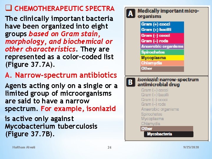 q CHEMOTHERAPEUTIC SPECTRA The clinically important bacteria have been organized into eight groups based