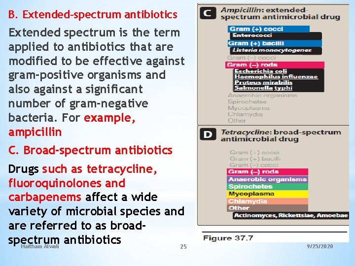 B. Extended-spectrum antibiotics Extended spectrum is the term applied to antibiotics that are modified