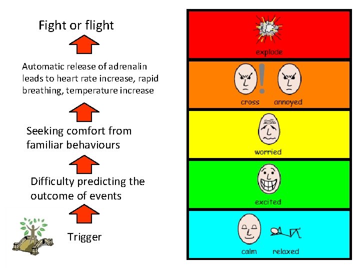 Fight or flight Automatic release of adrenalin leads to heart rate increase, rapid breathing,