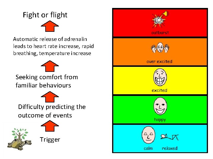 Fight or flight Automatic release of adrenalin leads to heart rate increase, rapid breathing,