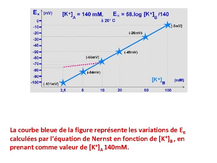 La courbe bleue de la figure représente les variations de EK calculées par l’équation