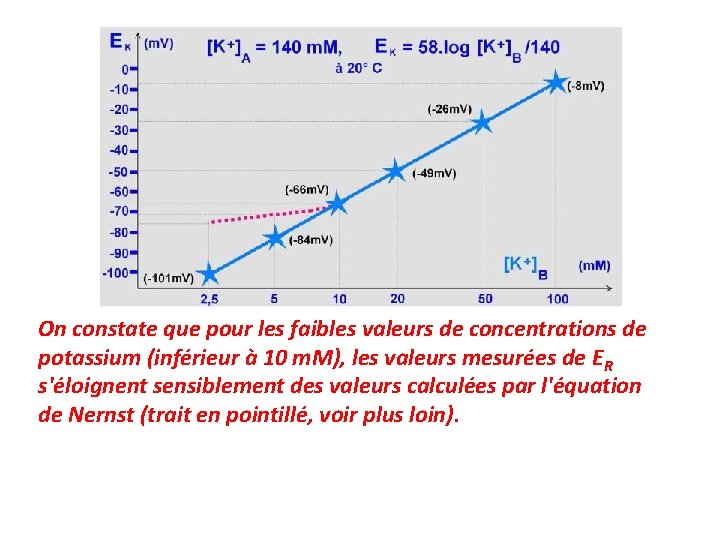 On constate que pour les faibles valeurs de concentrations de potassium (inférieur à 10