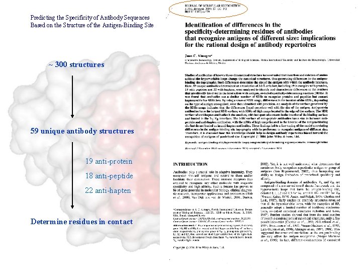 Predicting the Specificity of Antibody Sequences Based on the Structure of the Antigen-Binding Site