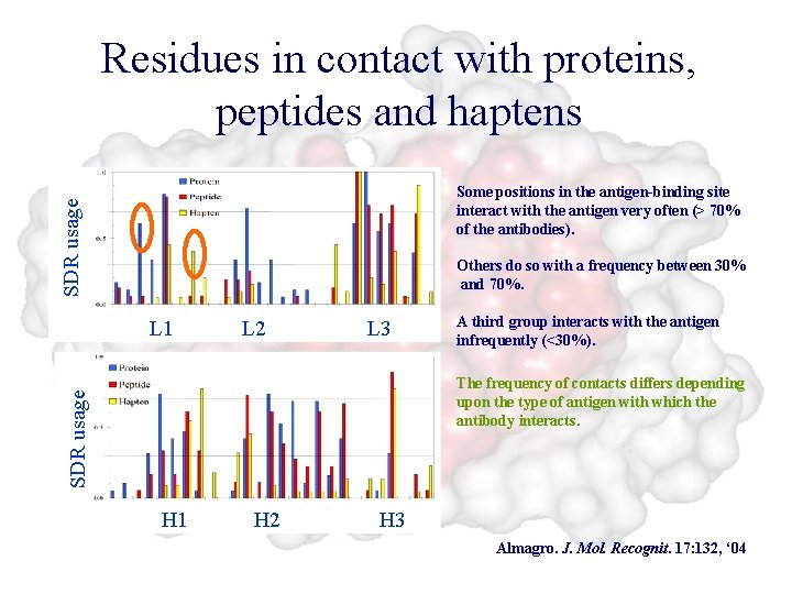 Residues in contact with proteins, peptides and haptens SDR usage Some positions in the
