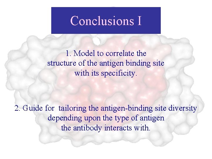 Conclusions I 1. Model to correlate the structure of the antigen binding site with