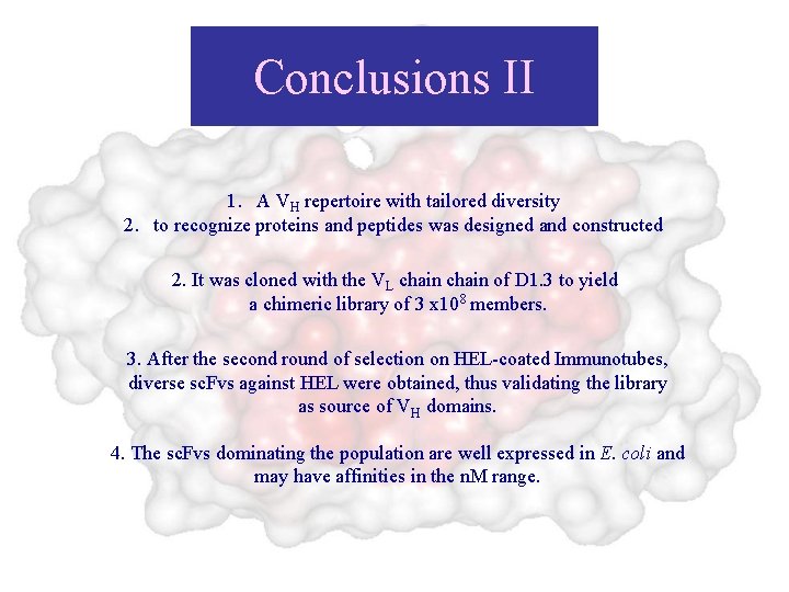 Conclusions II 1. A VH repertoire with tailored diversity 2. to recognize proteins and
