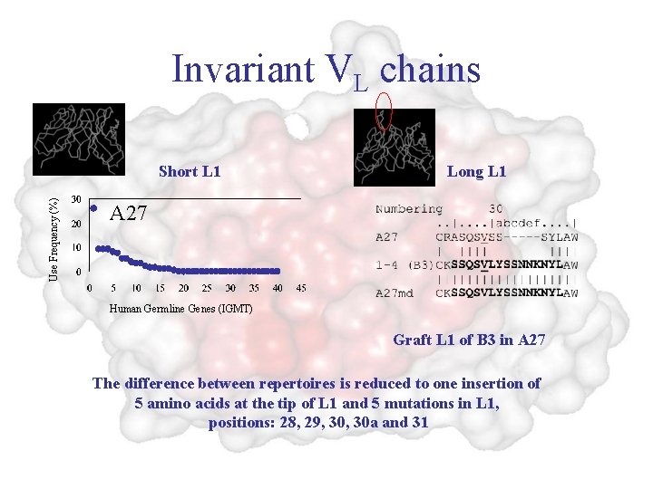 Invariant VL chains Use Frequency (%) Short L 1 Long L 1 A 27