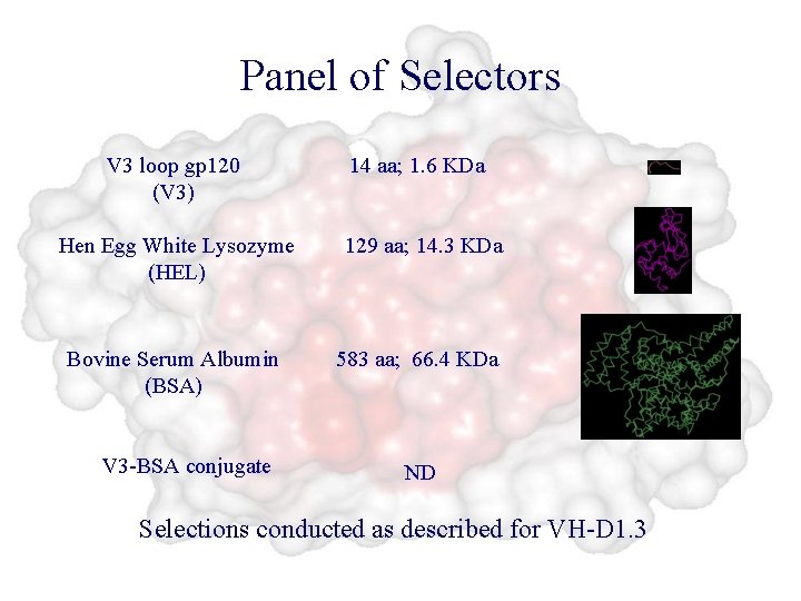 Panel of Selectors V 3 loop gp 120 (V 3) 14 aa; 1. 6