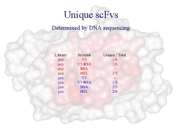 Unique sc. Fvs Determined by DNA sequencing 
