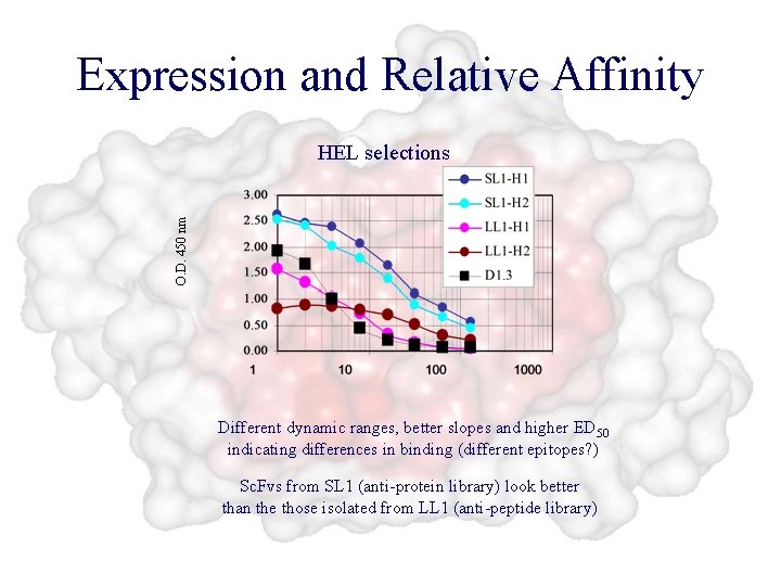 Expression and Relative Affinity O. D. 450 nm HEL selections Different dynamic ranges, better