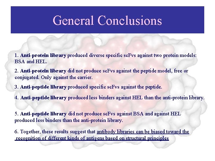 General Conclusions 1. Anti-protein library produced diverse specific sc. Fvs against two protein models: