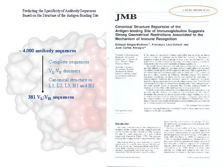 Predicting the Specificity of Antibody Sequences Based on the Structure of the Antigen-Binding Site