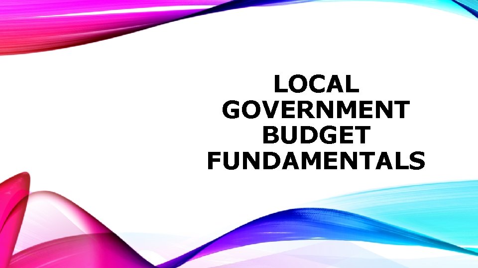 LOCAL GOVERNMENT BUDGET FUNDAMENTALS 