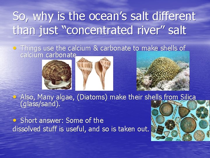 So, why is the ocean’s salt different than just “concentrated river” salt • Things