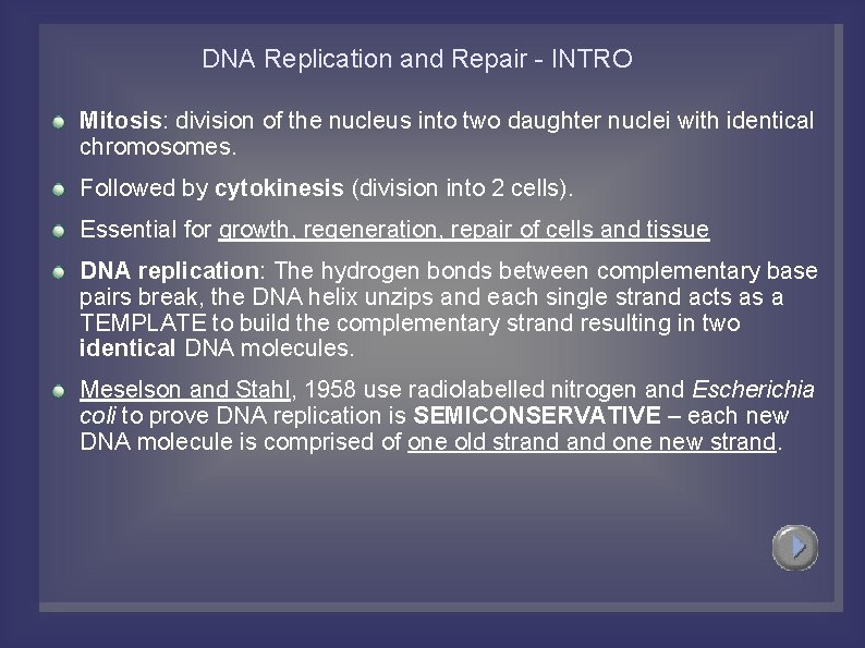 dna replication and repair intro mitosis division of