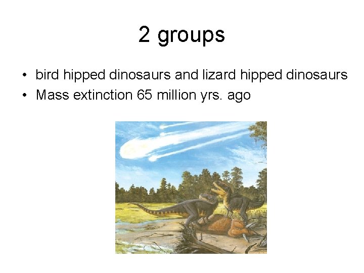 2 groups • bird hipped dinosaurs and lizard hipped dinosaurs • Mass extinction 65