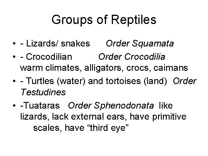 Groups of Reptiles • - Lizards/ snakes Order Squamata • - Crocodilian Order Crocodilia