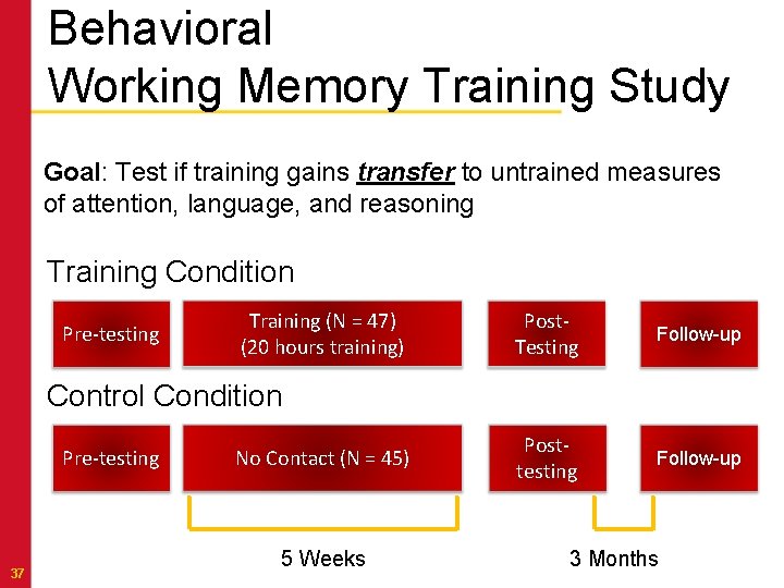 Behavioral Working Memory Training Study Goal: Test if training gains transfer to untrained measures