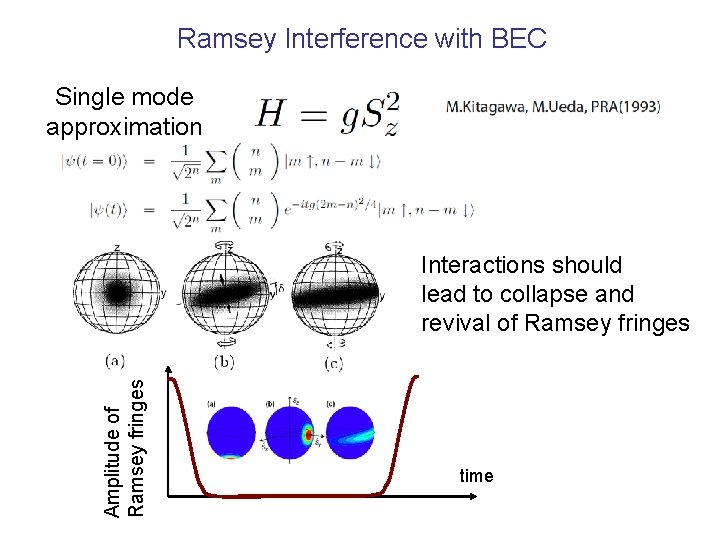 Ramsey Interference with BEC Single mode approximation Amplitude of Ramsey fringes Interactions should lead