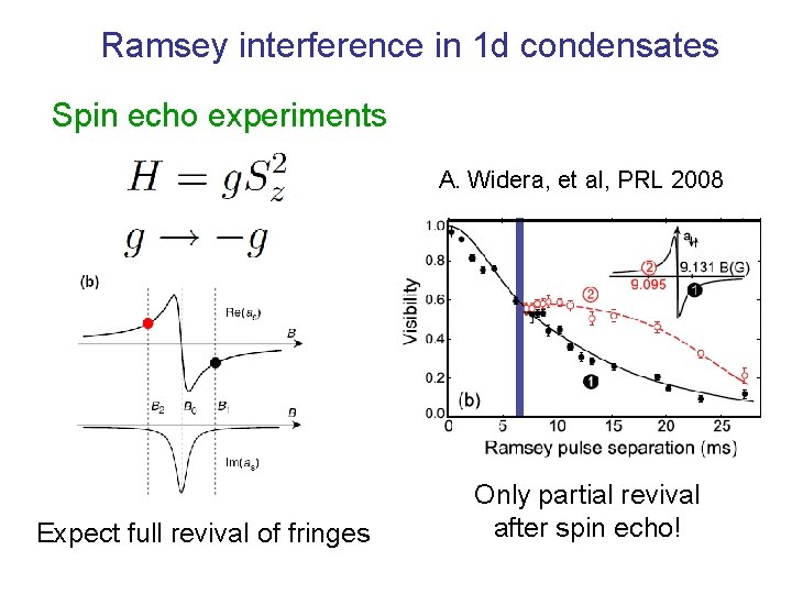 Ramsey interference in 1 d condensates Spin echo experiments A. Widera, et al, PRL