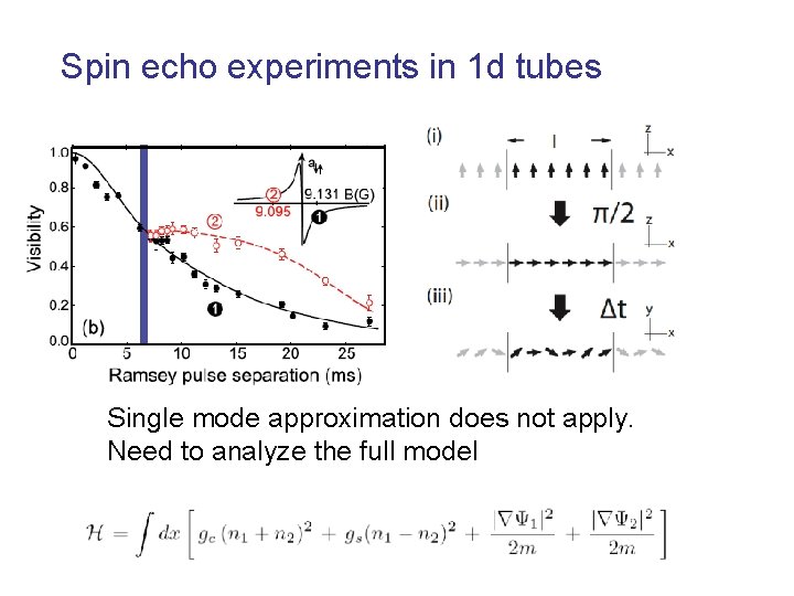 Spin echo experiments in 1 d tubes Single mode approximation does not apply. Need