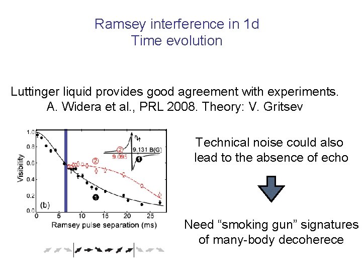 Ramsey interference in 1 d Time evolution Luttinger liquid provides good agreement with experiments.