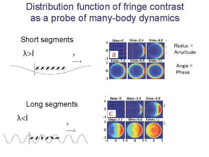 Distribution function of fringe contrast as a probe of many-body dynamics Short segments Radius