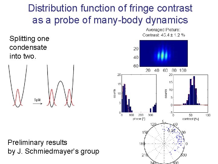 Distribution function of fringe contrast as a probe of many-body dynamics Splitting one condensate