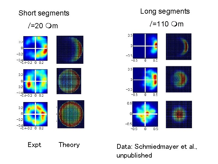 Short segments Long segments l =20 mm l =110 mm Expt Theory Data: Schmiedmayer